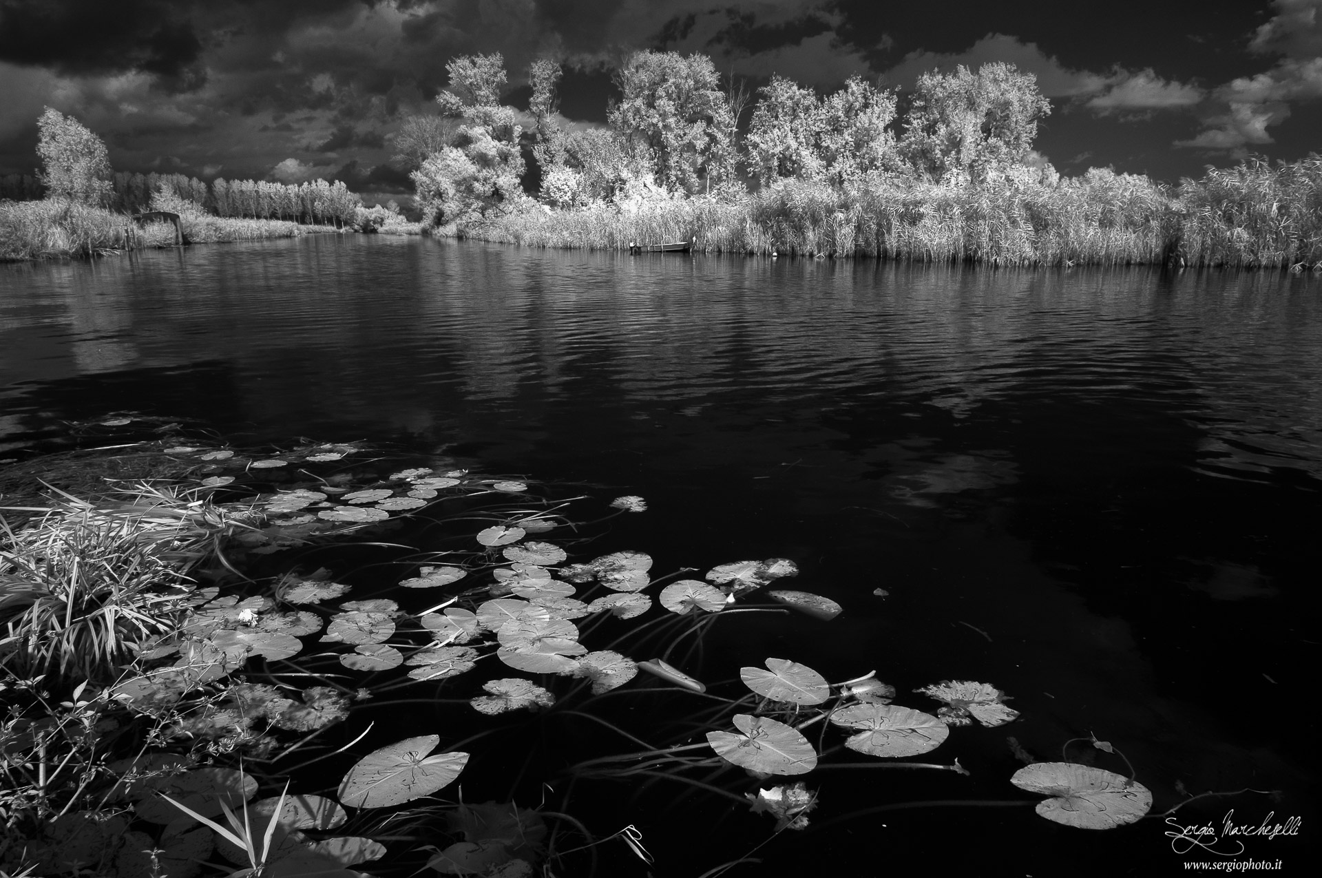_dsc0027