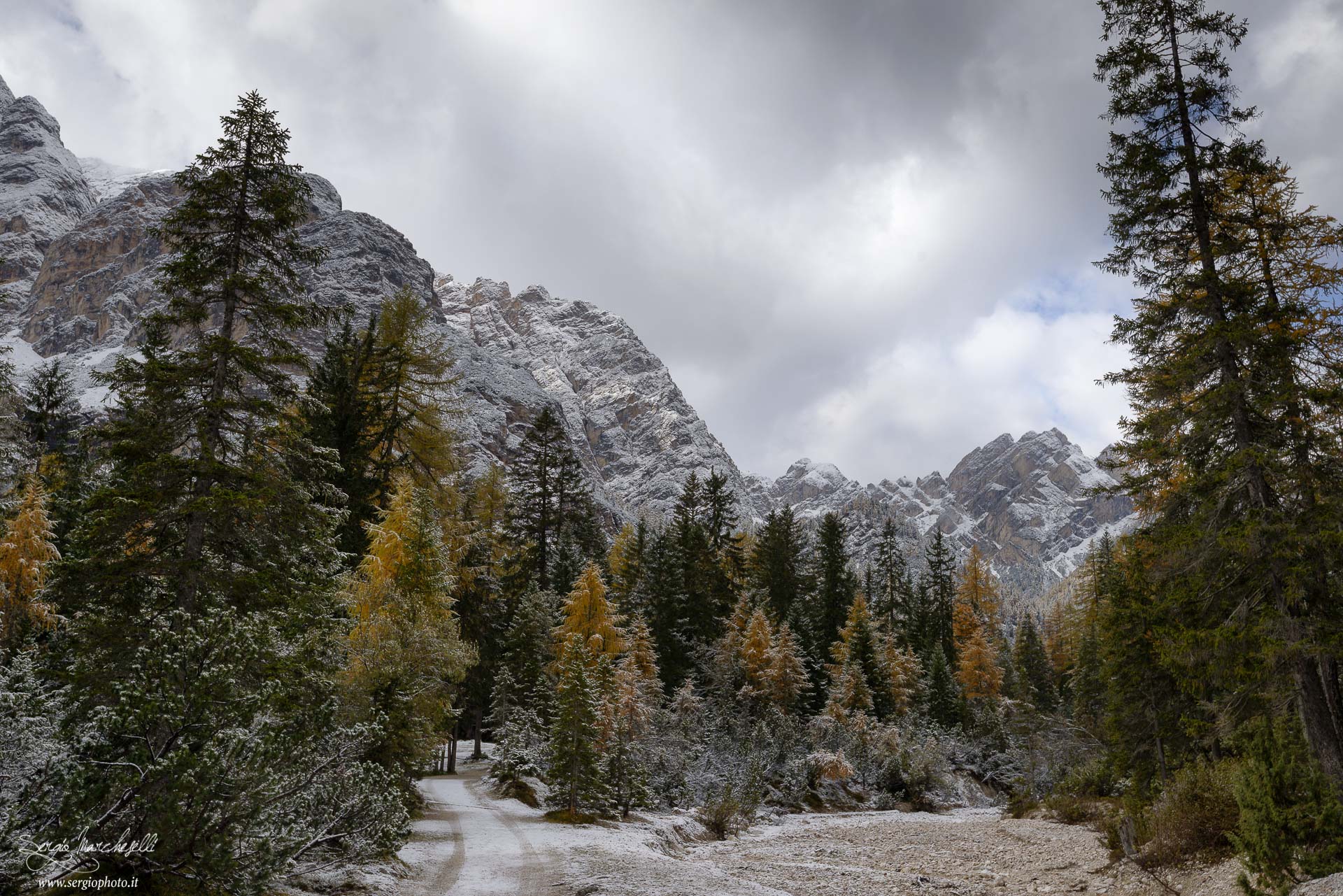 bosco-di-braies_01