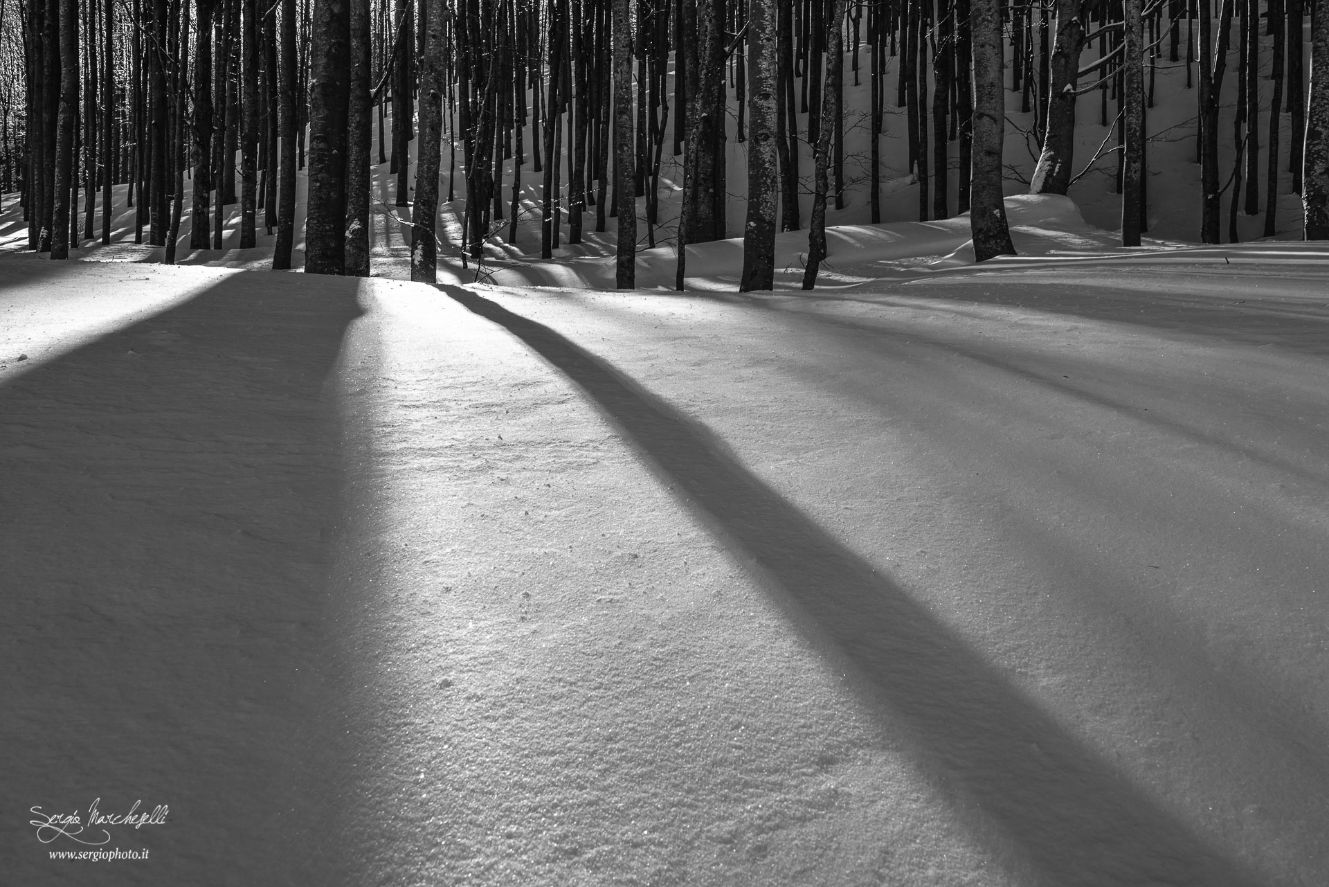 “Vedere” in bianco e nero